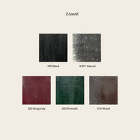 Lizard colour chart