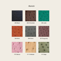 Ostrich colour chart