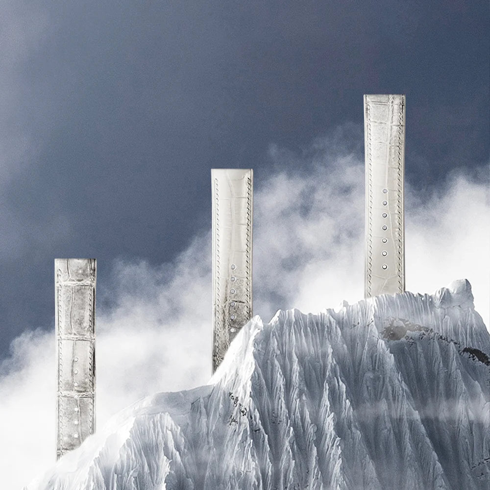 Pale crocodile pieces photographed above a snow summit